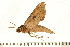  ( - 06-AT-00067)  @12 [ ] CreativeCommons - Attribution (2008) Unspecified Centre for Biodiversity Genomics