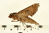  ( - 06-AT-00069)  @12 [ ] CreativeCommons - Attribution (2008) Unspecified Centre for Biodiversity Genomics
