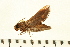  ( - 07-AT-00097)  @12 [ ] CreativeCommons - Attribution (2008) Unspecified Centre for Biodiversity Genomics