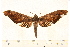  ( - 06-WA-00002)  @12 [ ] CreativeCommons - Attribution (2008) Unspecified Centre for Biodiversity Genomics