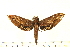  ( - 06-WA-00035)  @13 [ ] CreativeCommons - Attribution (2008) Unspecified Centre for Biodiversity Genomics
