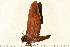 ( - 07-WA-00110)  @12 [ ] CreativeCommons - Attribution (2008) Unspecified Centre for Biodiversity Genomics