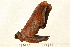  ( - 07-WA-00125)  @12 [ ] CreativeCommons - Attribution (2008) Unspecified Centre for Biodiversity Genomics