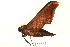  ( - 07-WA-00130)  @12 [ ] CreativeCommons - Attribution (2008) Unspecified Centre for Biodiversity Genomics