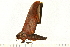  ( - 07-WA-00162)  @12 [ ] CreativeCommons - Attribution (2008) Unspecified Centre for Biodiversity Genomics