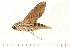  ( - 07-WA-00170)  @12 [ ] CreativeCommons - Attribution (2008) Unspecified Centre for Biodiversity Genomics