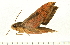 ( - 07-WA-00199)  @12 [ ] CreativeCommons - Attribution (2008) Unspecified Centre for Biodiversity Genomics