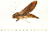  ( - 07-WA-00205)  @13 [ ] CreativeCommons - Attribution (2008) Unspecified Centre for Biodiversity Genomics