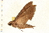  ( - 06-AT-00022)  @12 [ ] CreativeCommons - Attribution (2008) Unspecified Centre for Biodiversity Genomics
