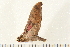  ( - 05-CICRA-00172)  @13 [ ] CreativeCommons - Attribution (2008) Unspecified Centre for Biodiversity Genomics