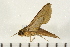  ( - 05-CICRA-00173)  @13 [ ] CreativeCommons - Attribution (2008) Unspecified Centre for Biodiversity Genomics