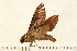  ( - 05-CICRA-00260)  @12 [ ] CreativeCommons - Attribution (2008) Unspecified Centre for Biodiversity Genomics