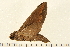  ( - 05-CICRA-00261)  @11 [ ] CreativeCommons - Attribution (2008) Unspecified Centre for Biodiversity Genomics