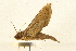  ( - 05-CICRA-00262)  @13 [ ] CreativeCommons - Attribution (2008) Unspecified Centre for Biodiversity Genomics