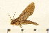  ( - 05-CICRA-00263)  @13 [ ] CreativeCommons - Attribution (2008) Unspecified Centre for Biodiversity Genomics