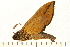  ( - 05-CICRA-00076)  @12 [ ] CreativeCommons - Attribution (2008) Unspecified Centre for Biodiversity Genomics