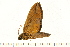  ( - 05-CICRA-00077)  @12 [ ] CreativeCommons - Attribution (2008) Unspecified Centre for Biodiversity Genomics