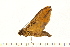  ( - 05-CICRA-00078)  @12 [ ] CreativeCommons - Attribution (2008) Unspecified Centre for Biodiversity Genomics