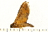  ( - 05-CICRA-00079)  @12 [ ] CreativeCommons - Attribution (2008) Unspecified Centre for Biodiversity Genomics