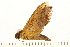  ( - 05-CICRA-00080)  @12 [ ] CreativeCommons - Attribution (2008) Unspecified Centre for Biodiversity Genomics