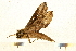  ( - 05-CICRA-00001)  @11 [ ] CreativeCommons - Attribution (2008) Unspecified Centre for Biodiversity Genomics