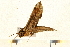  ( - 05-CICRA-00002)  @11 [ ] CreativeCommons - Attribution (2008) Unspecified Centre for Biodiversity Genomics