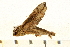  ( - 05-CICRA-00003)  @11 [ ] CreativeCommons - Attribution (2008) Unspecified Centre for Biodiversity Genomics