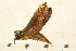  ( - 05-CICRA-00005)  @11 [ ] CreativeCommons - Attribution (2008) Unspecified Centre for Biodiversity Genomics
