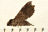  ( - 05-CICRA-00007)  @14 [ ] CreativeCommons - Attribution (2008) Unspecified Centre for Biodiversity Genomics