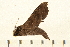  ( - 05-CICRA-00008)  @14 [ ] CreativeCommons - Attribution (2008) Unspecified Centre for Biodiversity Genomics