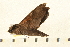  ( - 05-CICRA-00009)  @12 [ ] CreativeCommons - Attribution (2008) Unspecified Centre for Biodiversity Genomics