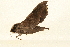  ( - 05-CICRA-00010)  @13 [ ] CreativeCommons - Attribution (2008) Unspecified Centre for Biodiversity Genomics