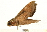  ( - 05-CICRA-00020)  @12 [ ] CreativeCommons - Attribution (2008) Unspecified Centre for Biodiversity Genomics