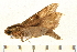  ( - 05-CICRA-00022)  @12 [ ] CreativeCommons - Attribution (2008) Unspecified Centre for Biodiversity Genomics
