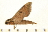  ( - 05-CICRA-00023)  @12 [ ] CreativeCommons - Attribution (2008) Unspecified Centre for Biodiversity Genomics
