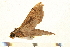  ( - 05-CICRA-00024)  @12 [ ] CreativeCommons - Attribution (2008) Unspecified Centre for Biodiversity Genomics