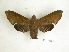  ( - BC-DZ 13.551)  @13 [ ] Copyright (2010) Unspecified Research Collection of Carlos Mielke