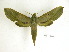  ( - BC-DZ 14.088)  @13 [ ] Copyright (2010) Unspecified Research Collection of Carlos Mielke