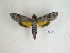  ( - BC-DZ 15.127)  @14 [ ] Copyright (2010) Unspecified Research Collection of Carlos Mielke