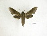  ( - BC-DZ 16.489)  @13 [ ] Copyright (2010) Unspecified Research Collection of Carlos Mielke