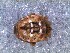  ( - DLP-4209)  @11 [ ] Copyright (2016) Daniela Prina Museo Argentino de Ciencias Naturales
