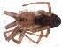  ( - IFM-1014)  @11 [ ] Unspecified (default): All Rights Reserved  Unspecified MACN