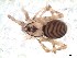  ( - IFM-1018)  @11 [ ] Unspecified (default): All Rights Reserved  Unspecified MACN