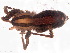  ( - IFM-0481)  @14 [ ] CreativeCommons - Attribution Non-Commercial Share-Alike (2015) Unspecified Museo Argentino de Ciencias Naturales