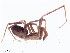  ( - IFM-0349)  @11 [ ] CreativeCommons - Attribution Non-Commercial Share-Alike (2015) Unspecified Museo Argentino de Ciencias Naturales