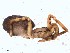  ( - IFM-0778)  @12 [ ] CreativeCommons - Attribution Non-Commercial Share-Alike (2015) Unspecified Museo Argentino de Ciencias Naturales