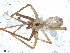  (Pikelinia ifm sp. 94 - IFM-0766)  @12 [ ] CreativeCommons - Attribution Non-Commercial Share-Alike (2015) Unspecified Museo Argentino de Ciencias Naturales