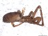  ( - IFM-1019)  @11 [ ] Unspecified (default): All Rights Reserved  Unspecified MACN