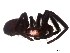  ( - IFM-1069)  @11 [ ] Unspecified (default): All Rights Reserved  Unspecified MACN