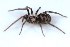  ( - IFM-1874)  @11 [ ] Unspecified (default): All Rights Reserved  Unspecified Unspecified